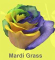 Mardi_Grass